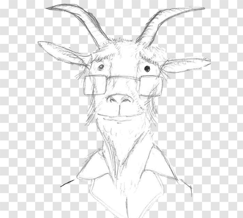 Hare Nose Line Art Cartoon Sketch - Wildlife Transparent PNG