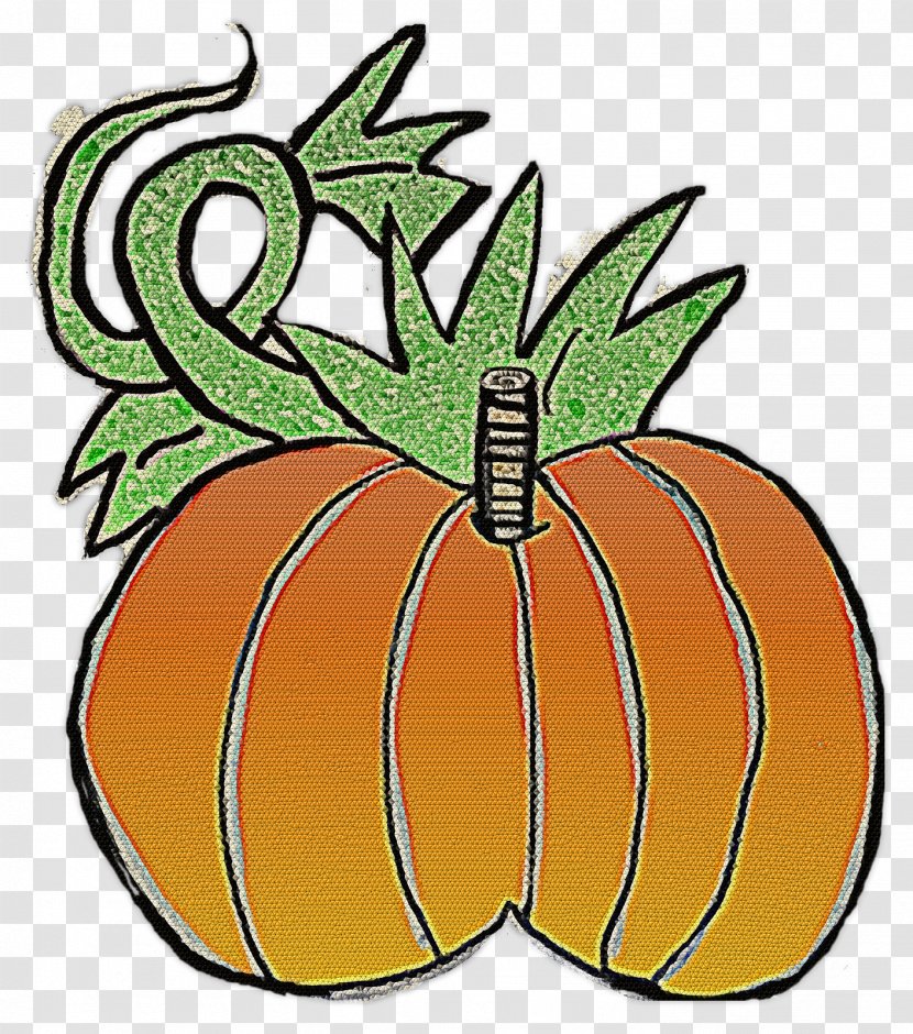 Pumpkin Calabaza Winter Squash Insect - Vegetable Transparent PNG