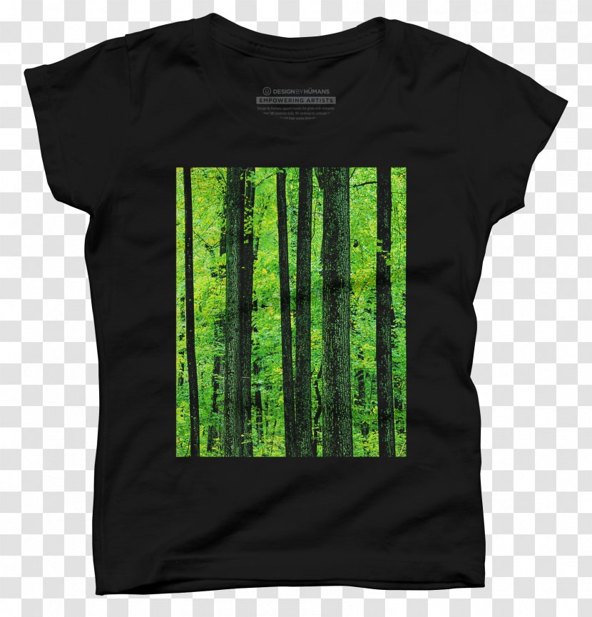 Shenandoah River Landscape Photography Park - National - Sports T-shirt Pattern Transparent PNG