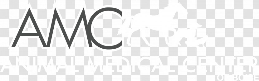 Logo Brand Trademark Number - Calligraphy - Design Transparent PNG