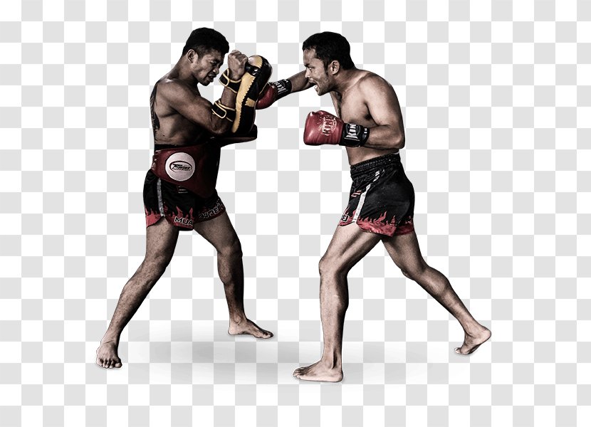 Muay Thai Boxing Glove Mixed Martial Arts Kickboxing - Mma Transparent PNG
