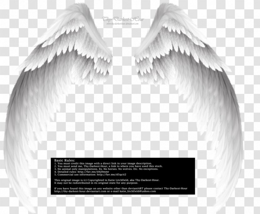Michael Archangel Fallen Angel Clip Art - Jaw - Baby Transparent PNG