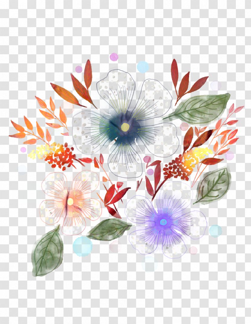 Watercolor Floral Background - Drawing - Wildflower Morning Glory Transparent PNG