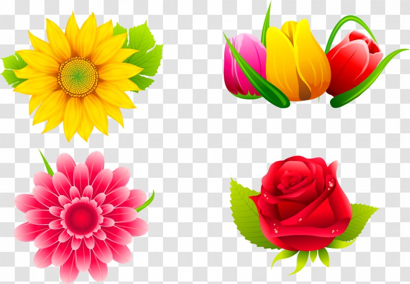 Clip Art Vector Graphics Stock Photography Illustration - Royaltyfree - Flower Transparent PNG
