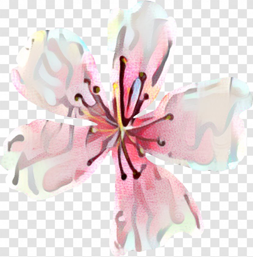 Lily Flower Cartoon - Pink M - Geranium Magnolia Transparent PNG