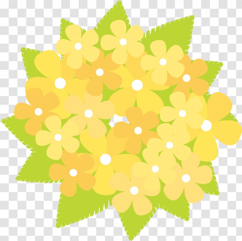 Floral Design Petal Pattern Flower - Symmetry - Plants Transparent PNG