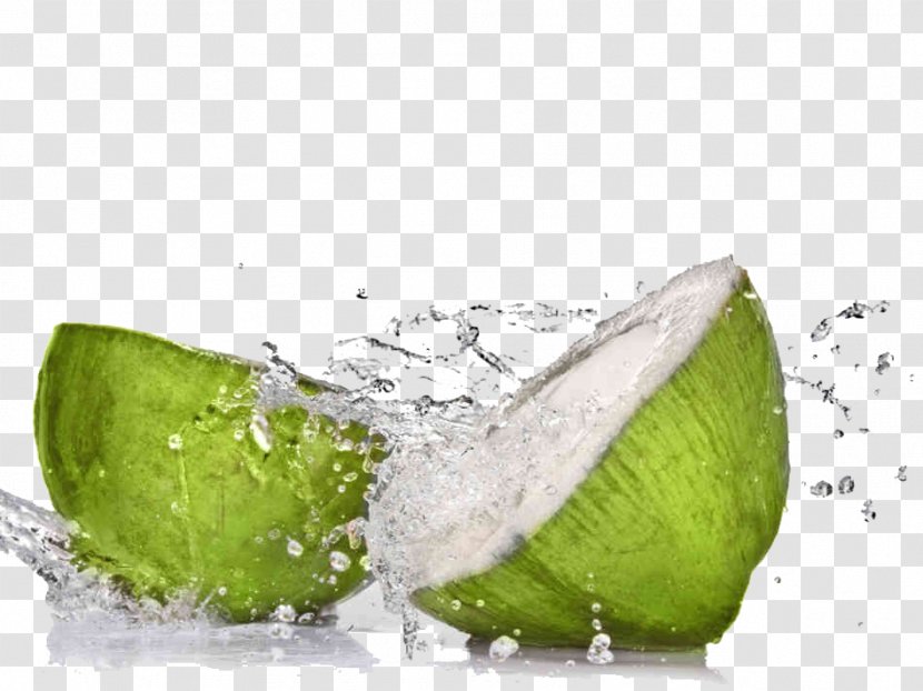 Coconut Water Smoothie Sports & Energy Drinks - Avocado - Drink Transparent PNG