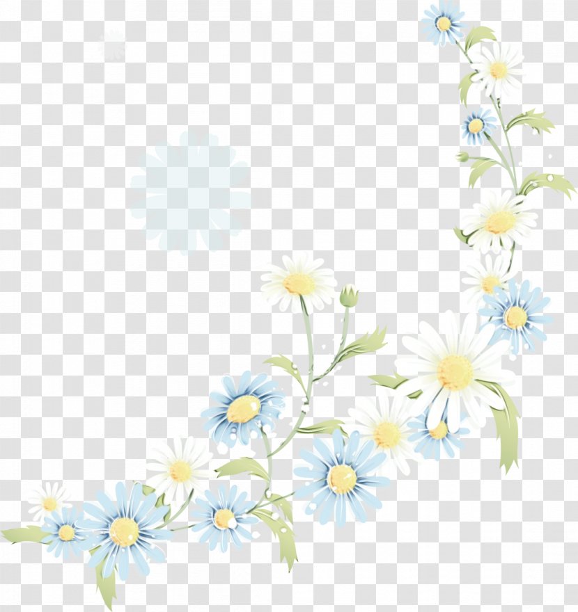 Floral Flower Background - Daisy Family Chamaemelum Nobile Transparent PNG