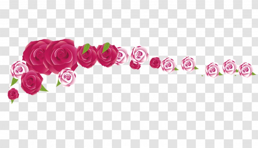 Beach Rose Flower Red - Color - A Row Of Roses Transparent PNG