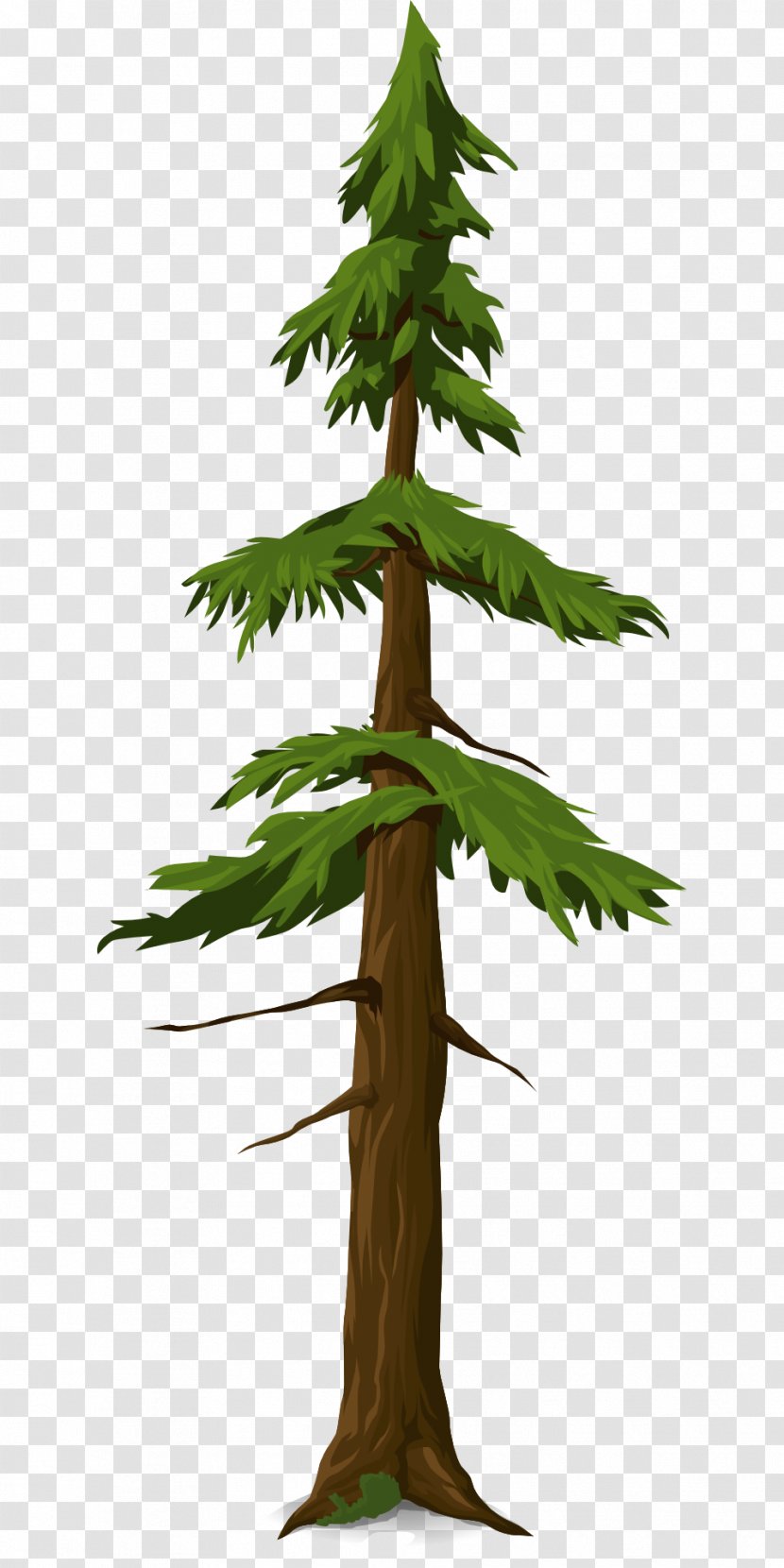 Running Boy - Pine Family - Fir-tree Transparent PNG