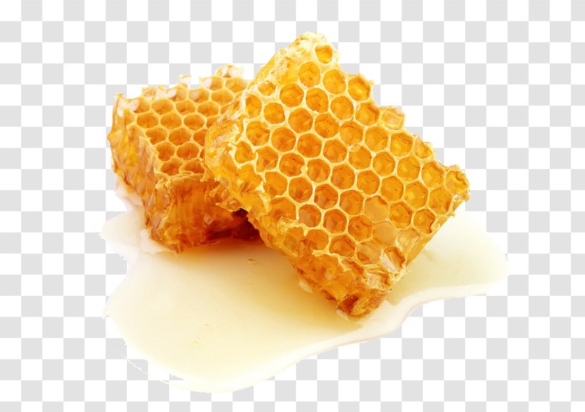 Honey Bee Honeycomb Comb - Beehive Transparent PNG