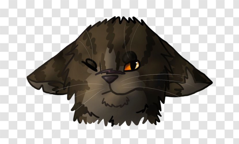 Whiskers Cat Snout Beak Fauna - Carnivoran - King Darkness Transparent PNG