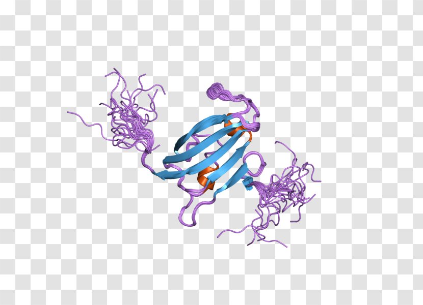 FKBP10 FKBP8 Gene Calcineurin - Invertebrate - Art Transparent PNG