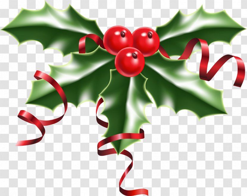 Common Holly Christmas Clip Art - Flowering Plant Transparent PNG