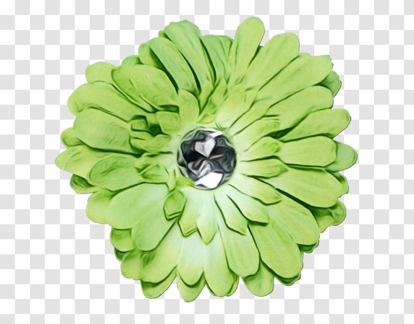 Cut Flowers Green Petal Floristry - Infant - Artificial Flower Transparent PNG