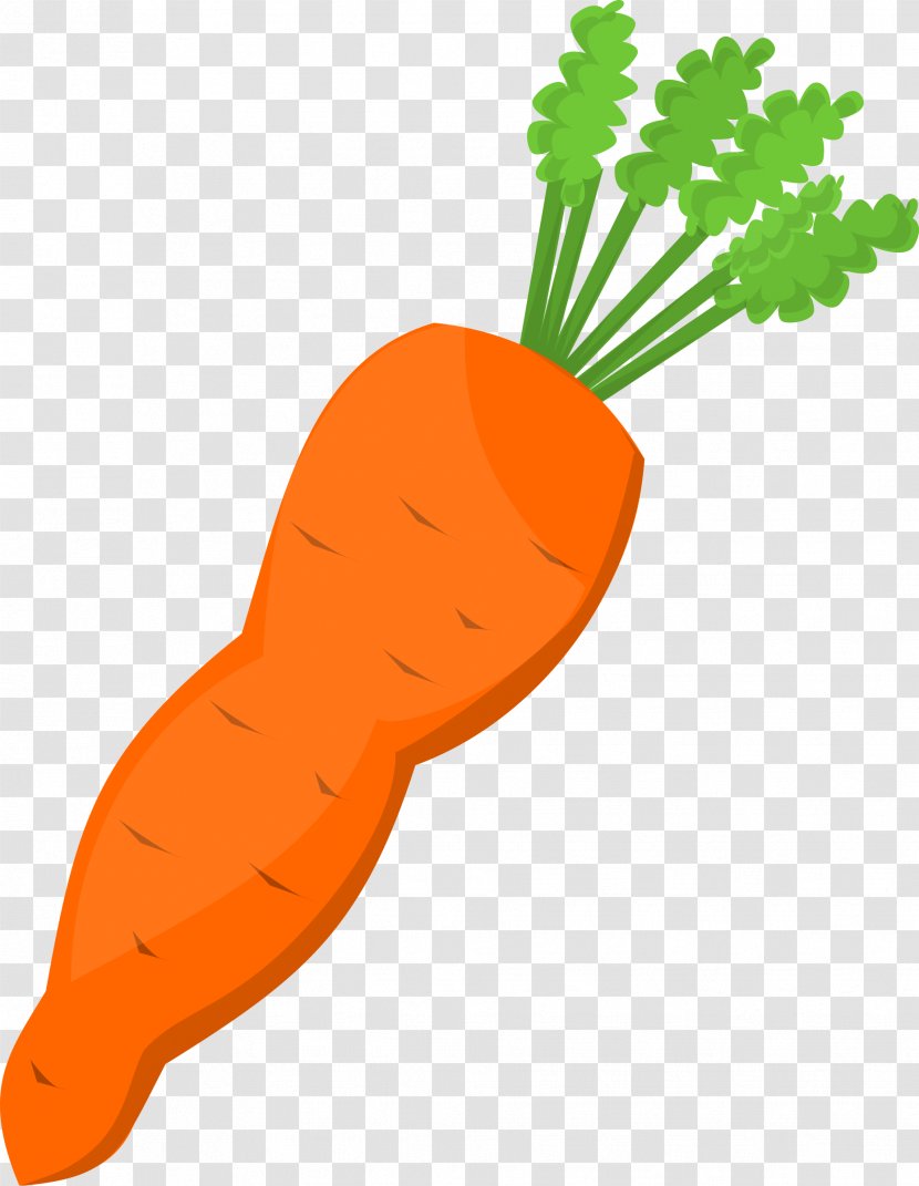 Carrot Vegetable Clip Art - Website - Cliparts Transparent PNG