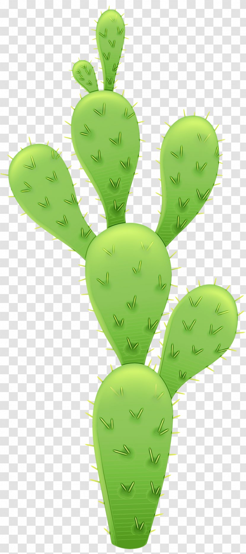 Bunny Ears Cactus Vector Graphics Plants Barbary Fig - Eastern Prickly Pear - Saguaro Transparent PNG