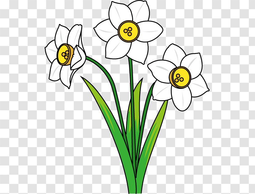 Daffodil Flower Clip Art - Spring - Doodle Transparent PNG