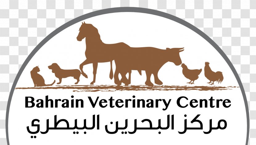 Dog Bahrain Veterinary Centre Cat Veterinarian Medicine - Horse Transparent PNG