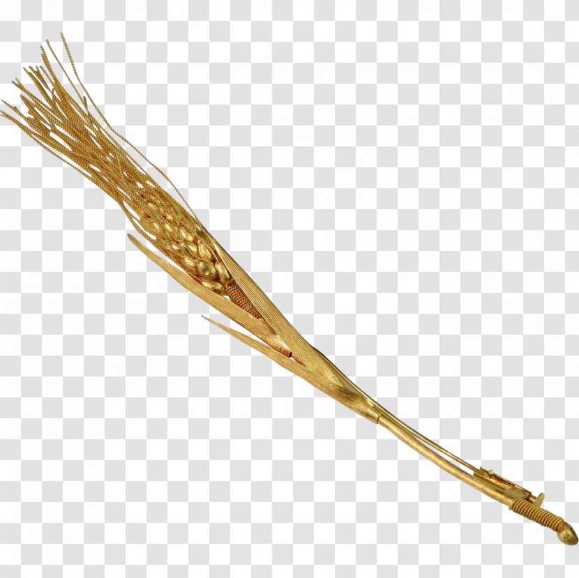 Grasses Family - Ears Of Wheat Transparent PNG