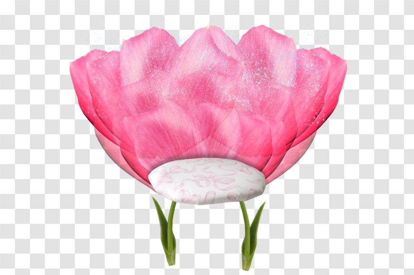 Cabbage Rose Garden Roses Easter Tulip World - Peach - Petalos Transparent PNG