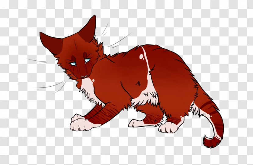 Whiskers Cat Red Fox Illustration Cartoon - Snout Transparent PNG
