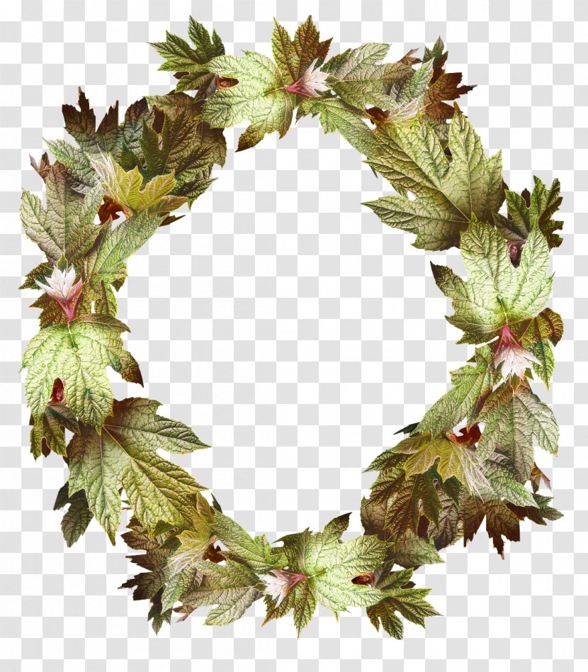 Wreath Picture Frames Image Decorative Arts Floral Design - Flower Frame Transparent PNG