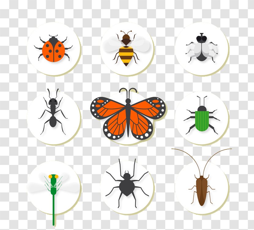 Insect Bee Euclidean Vector Icon - Cartoon Insects Transparent PNG