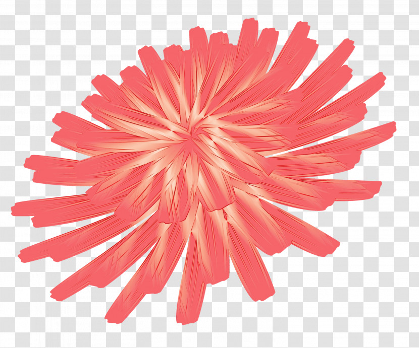 Dahlia Cut Flowers Chrysanthemum Petal Red Transparent PNG