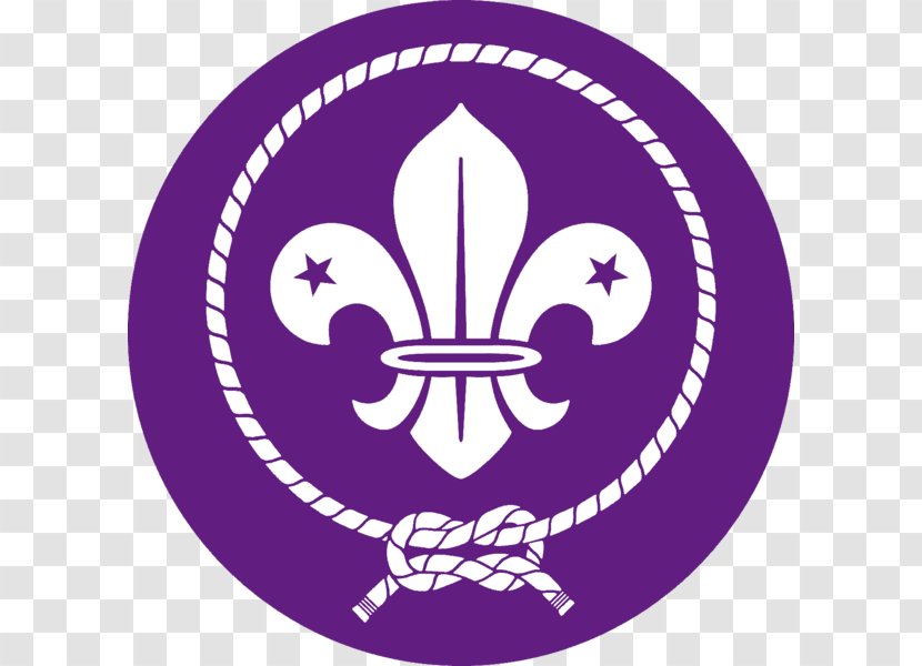 World Organization Of The Scout Movement Scouting Group Cub Association Transparent PNG