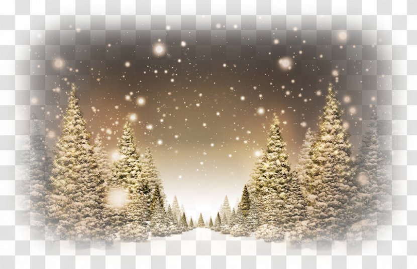 Christmas Tree Desktop Wallpaper Public Holiday - Winter - Landscape Transparent PNG