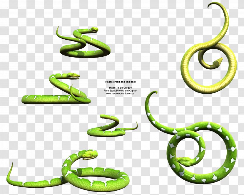 Snake Green Tree Python Clip Art - Artwork Transparent PNG