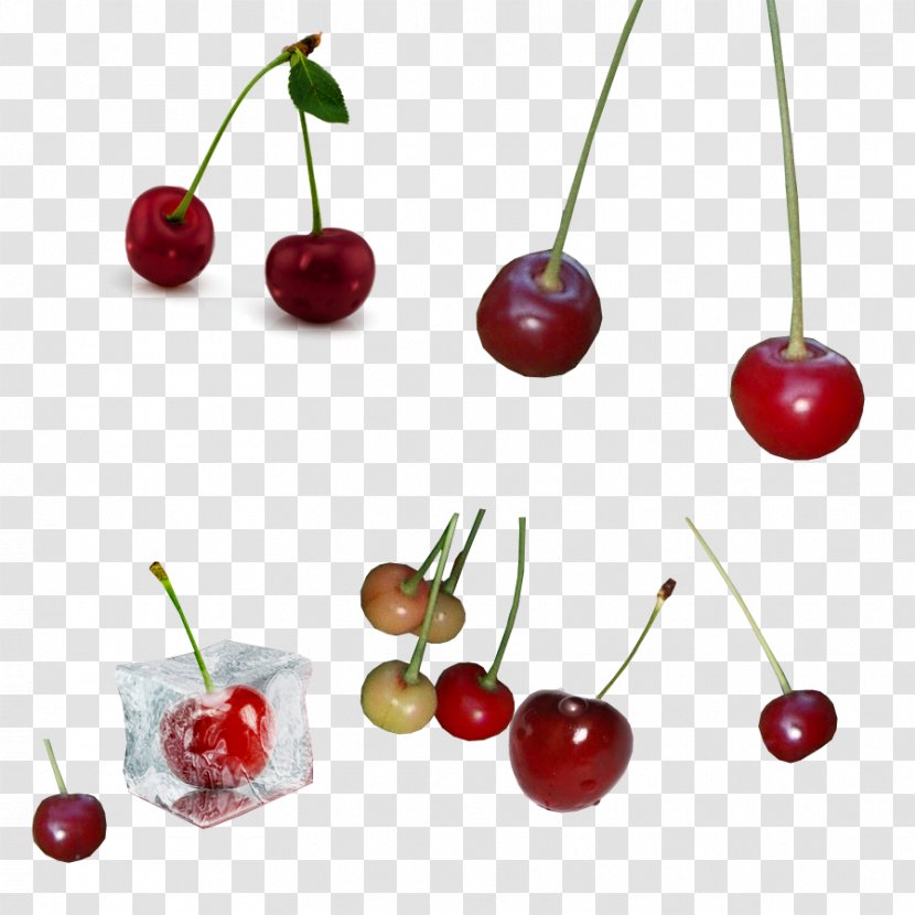Cherry Red Fruit - A Variety Of Transparent PNG