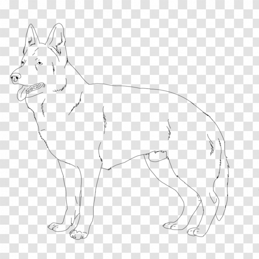 Dog Breed Line Art Whiskers Paw - Group Transparent PNG