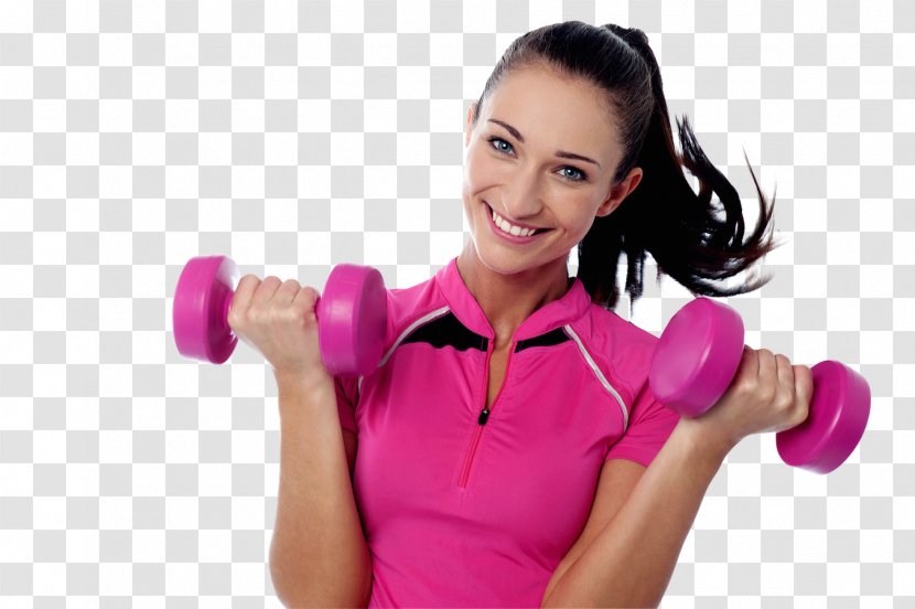 Physical Exercise Personal Trainer Fitness Centre - Professional Transparent PNG