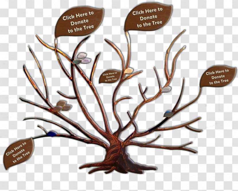 Branch Adoption Family Tree Genealogy - New Arrival Flyer Transparent PNG