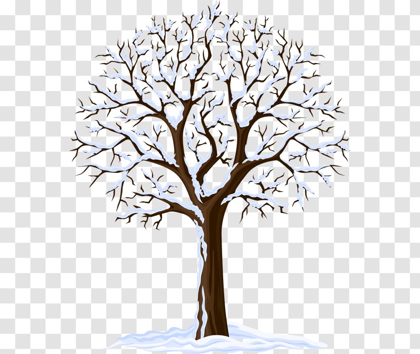 Royalty-free Winter Photography - Drawing Trees Transparent PNG