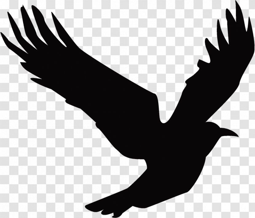 Raven Halloween Crow - Golden Eagle - Hawk Transparent PNG