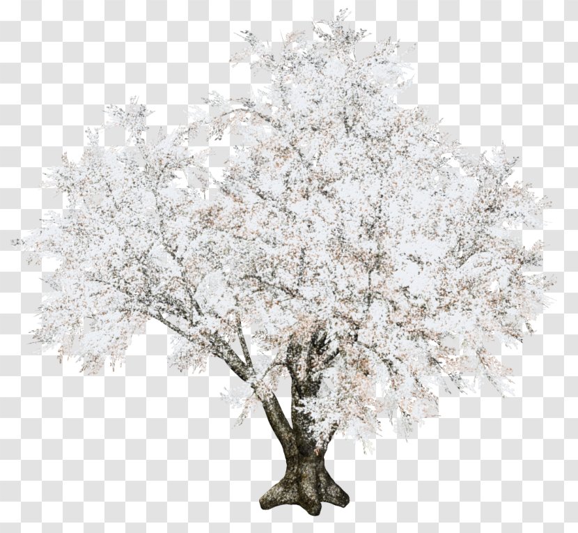 Twig Tree Christmas Day Snow Transparent PNG