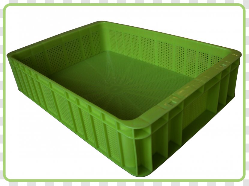 Plastic Box Almacenaje Tray - Bee - Ebay Transparent PNG