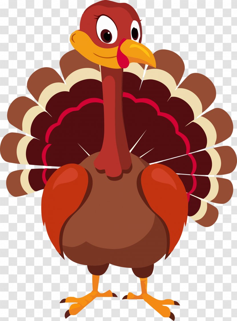 Thanksgiving Turkey - Beak - Wild Transparent PNG