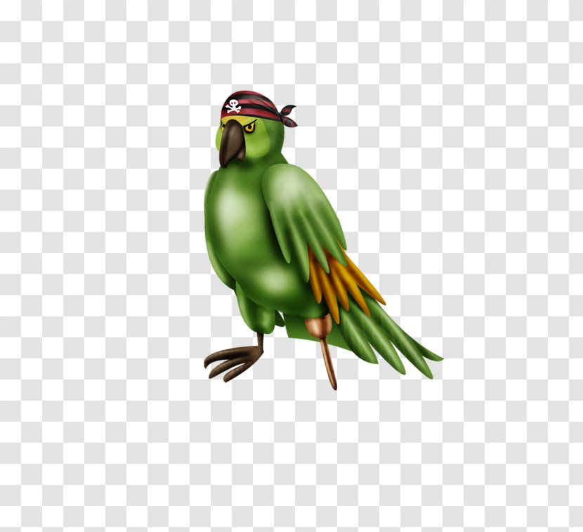 Hummingbird Macaw - Bird - Green Birds Transparent PNG
