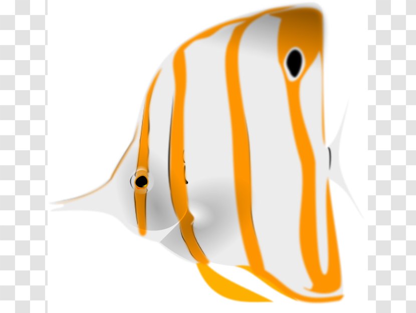 Fourspot Butterflyfish Copperband Clip Art - Mailed Cliparts Transparent PNG