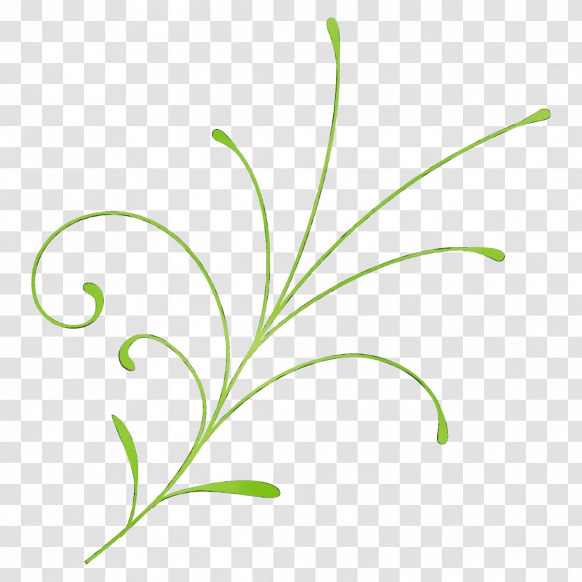 Leaf Green Plant Grass Flower - Flowering Pedicel Transparent PNG