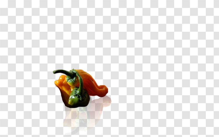 Chili Pepper Capsicum Annuum Scoville Unit Units Of Measurement Close-up - Organism - Small Transparent PNG