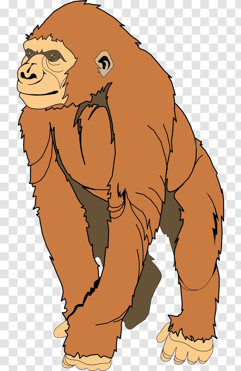 Ape Gorilla Clip Art - Mammal - Yellow Transparent PNG