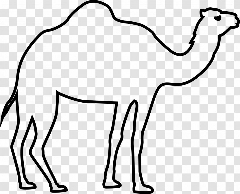 Camel Eid Al-Fitr Al-Adha - Like Mammal - Black Transparent PNG