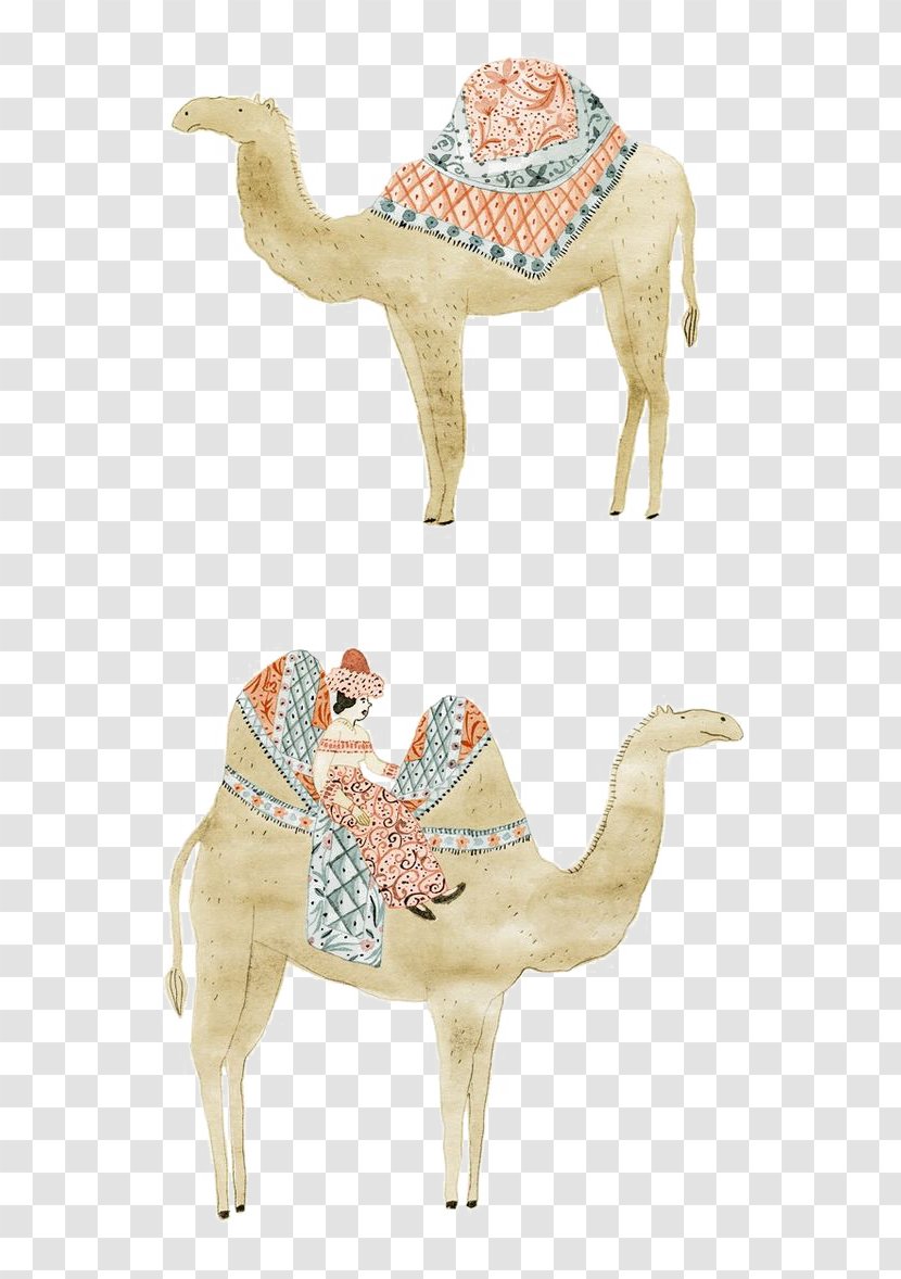 Dromedary Animal - Camel Transparent PNG