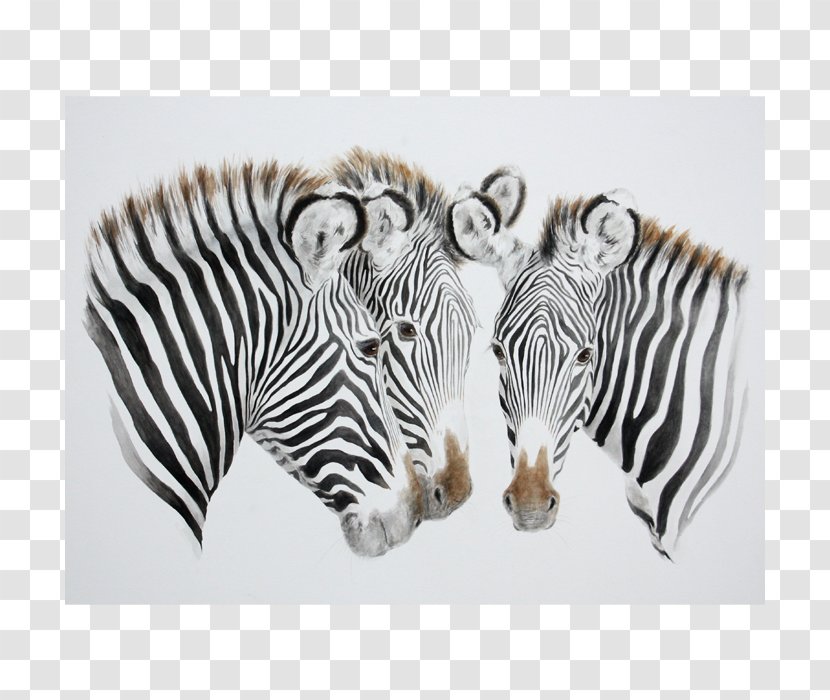 Lewa Wildlife Conservancy Artist Painting Tiger - Fauna Transparent PNG
