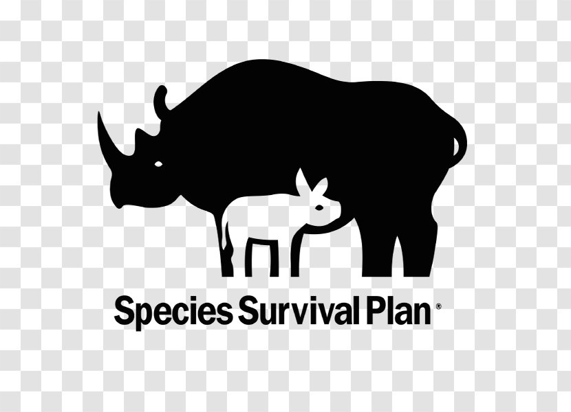Asian Elephant Endangered Species Survival Plan Zoo Red Panda - Black And White - Recovery Transparent PNG